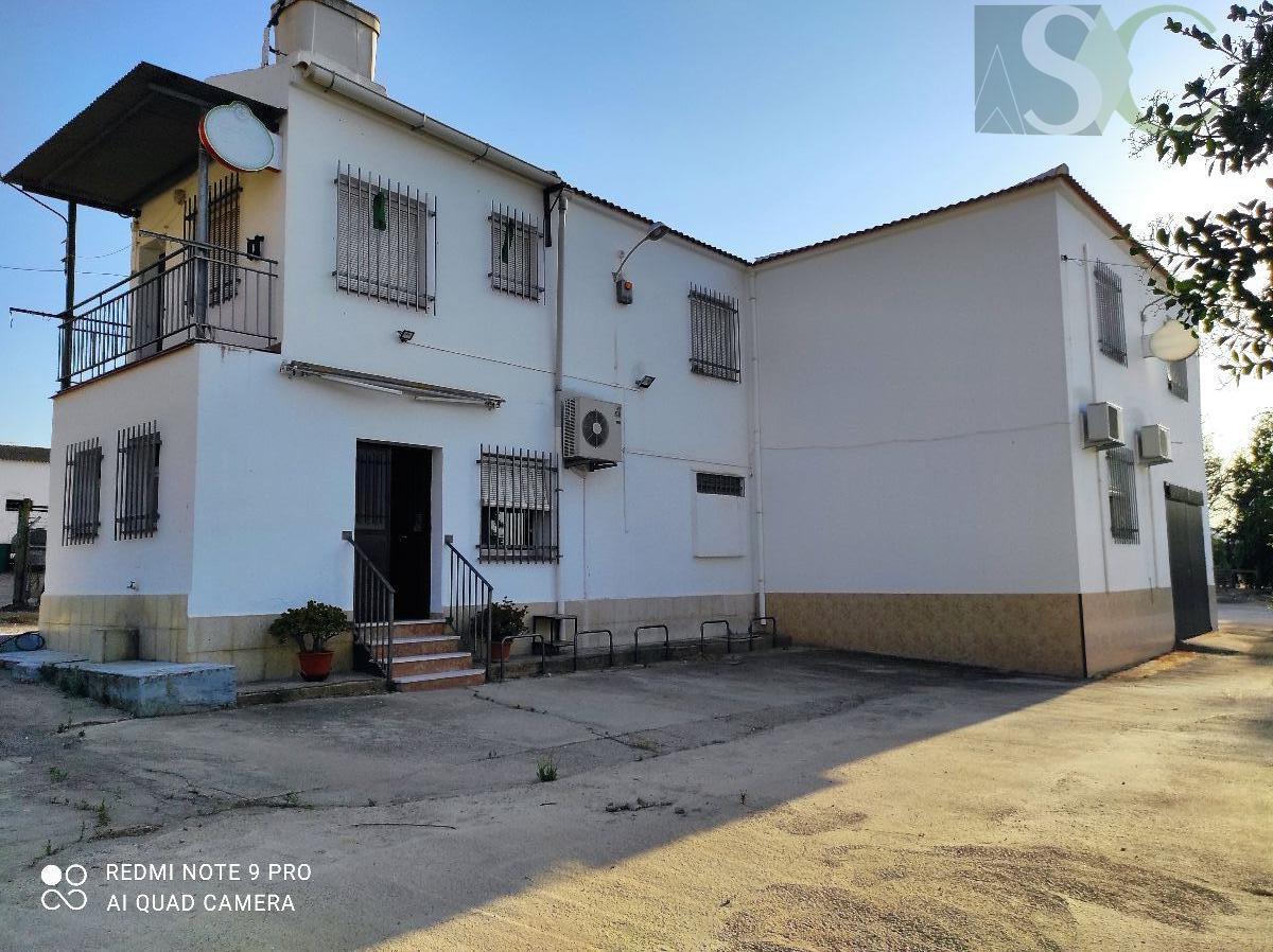 Venta de local comercial en Teba