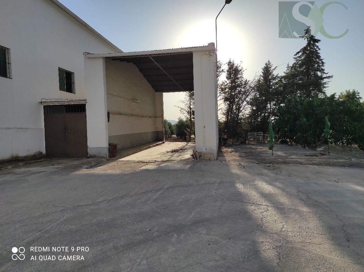 For sale of commercial in Teba