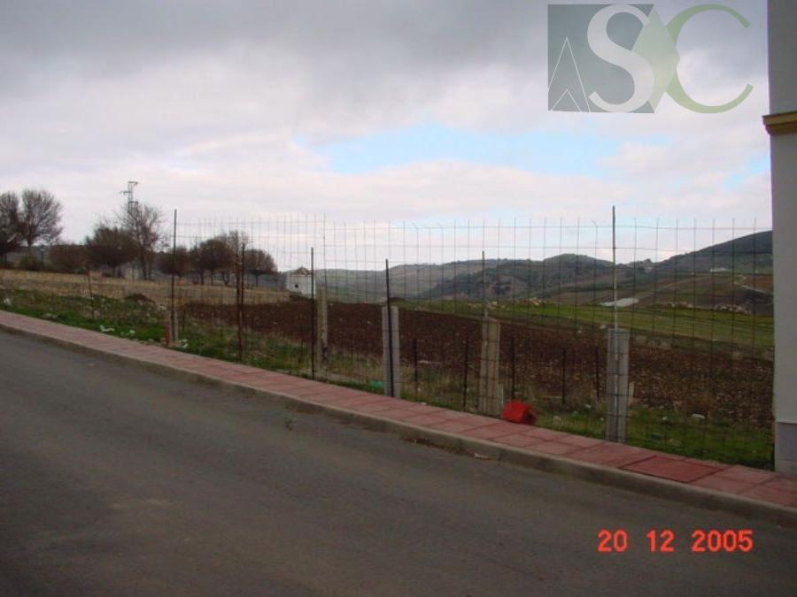 For sale of land in Cañete la Real