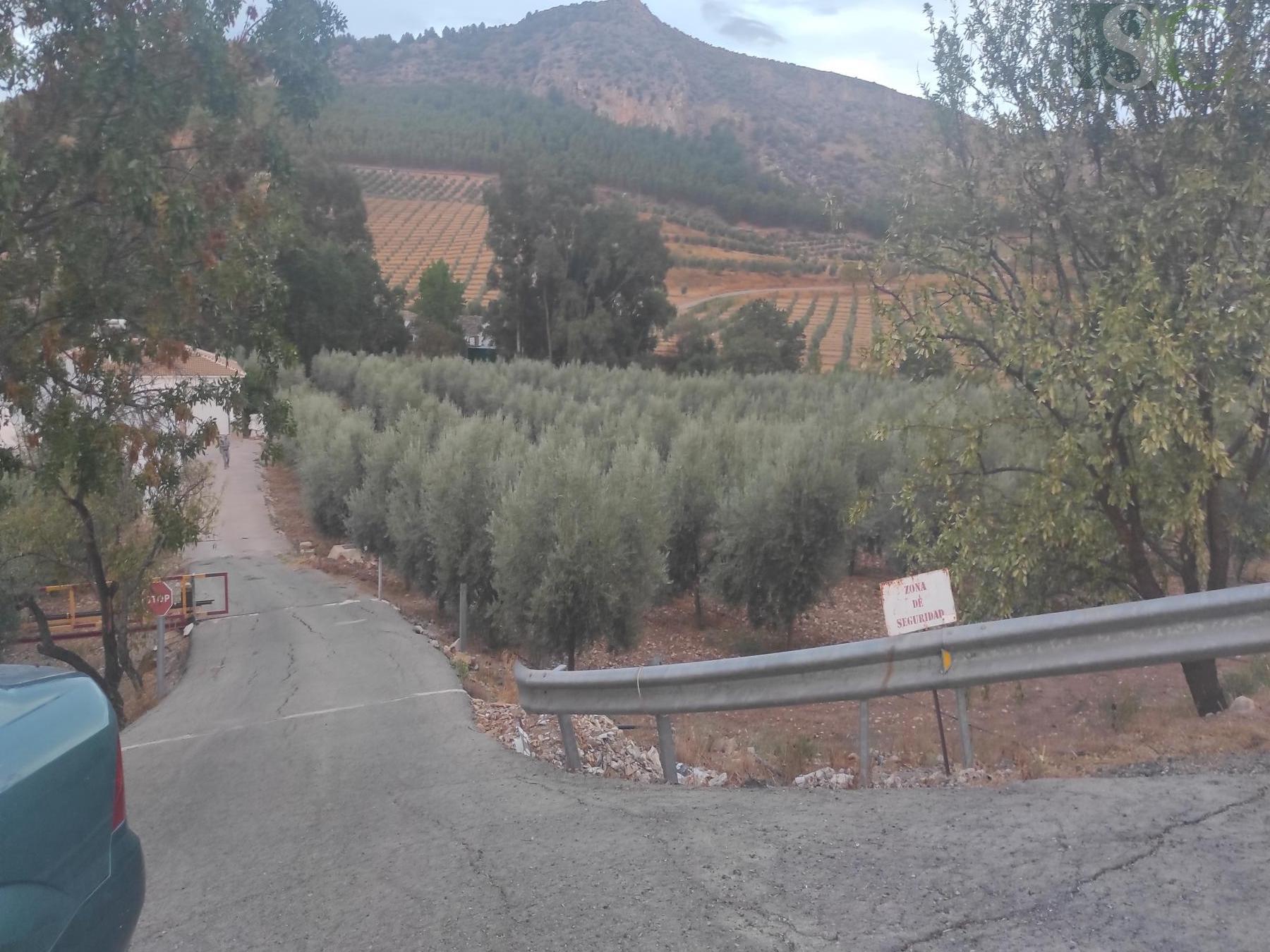 Venta de finca rústica en Teba