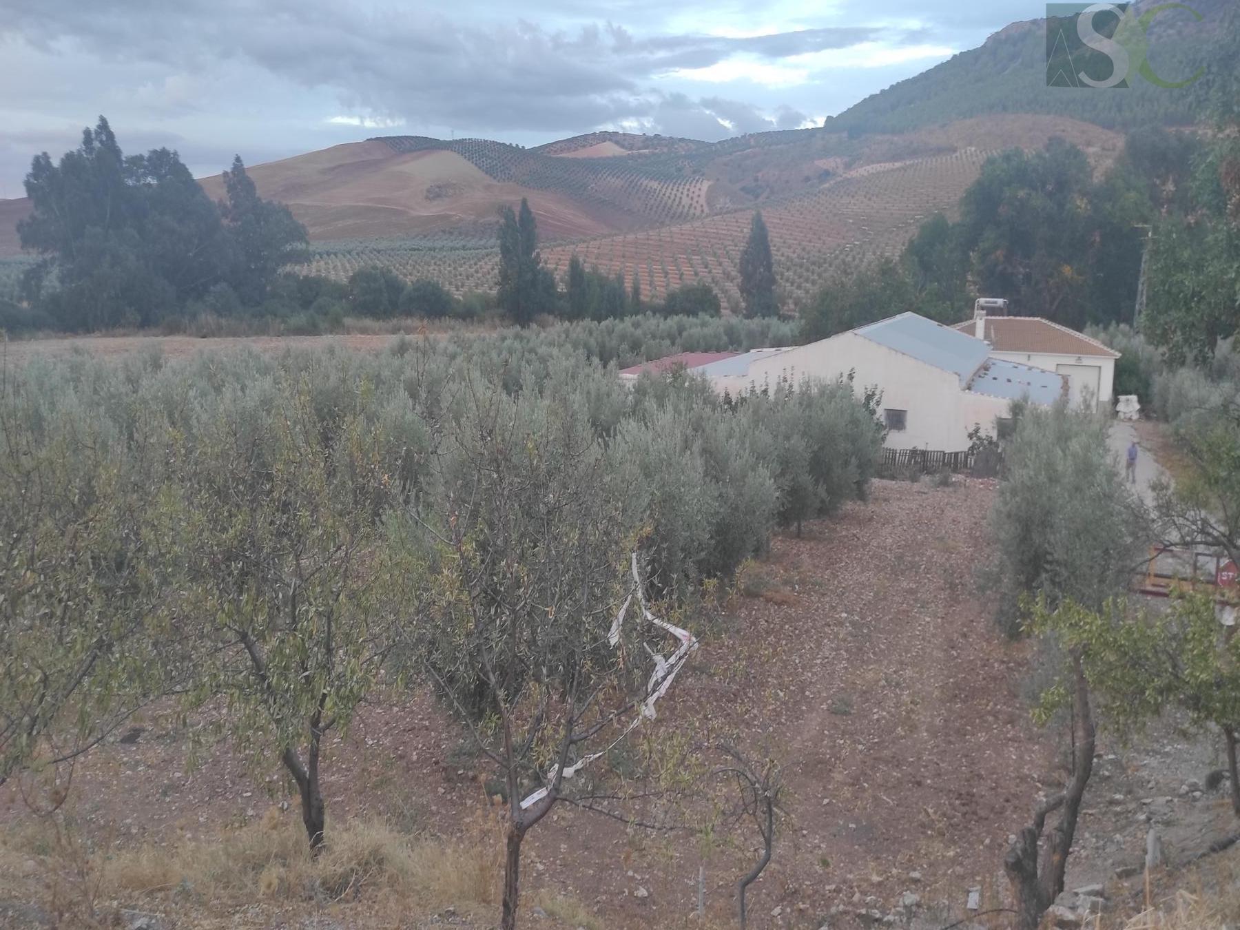 Venta de finca rústica en Teba