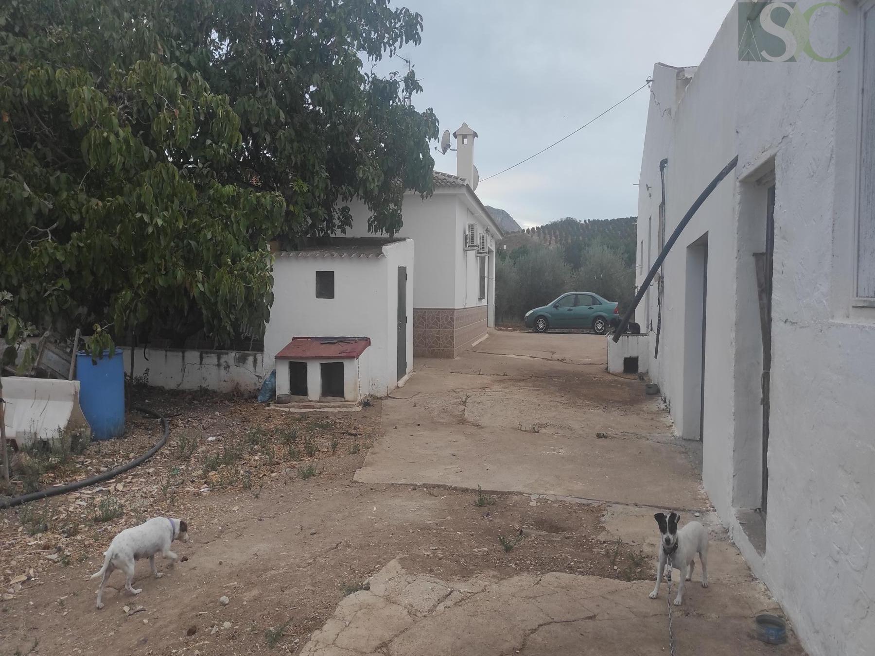 For sale of rural property in Teba