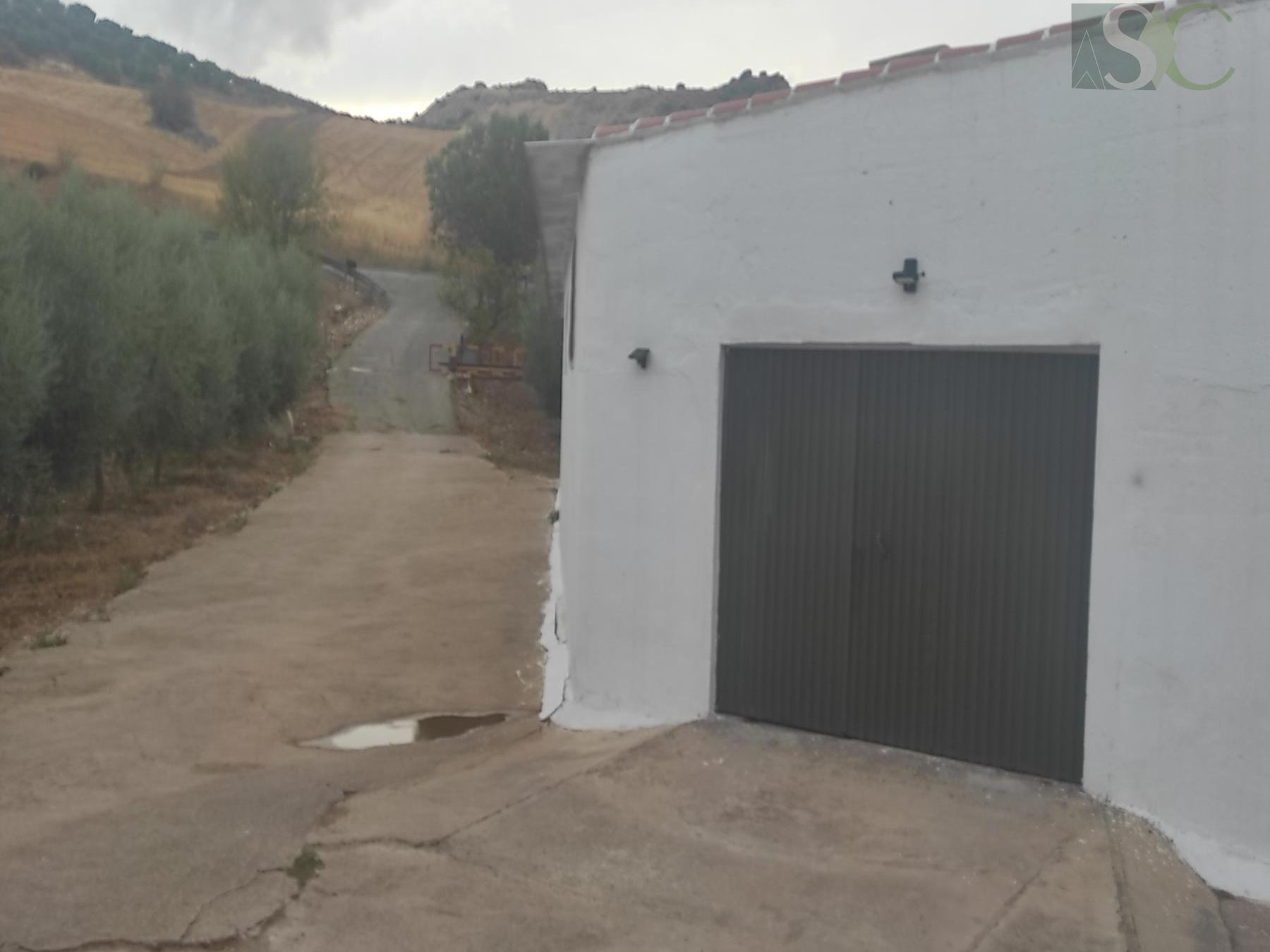 Venta de finca rústica en Teba