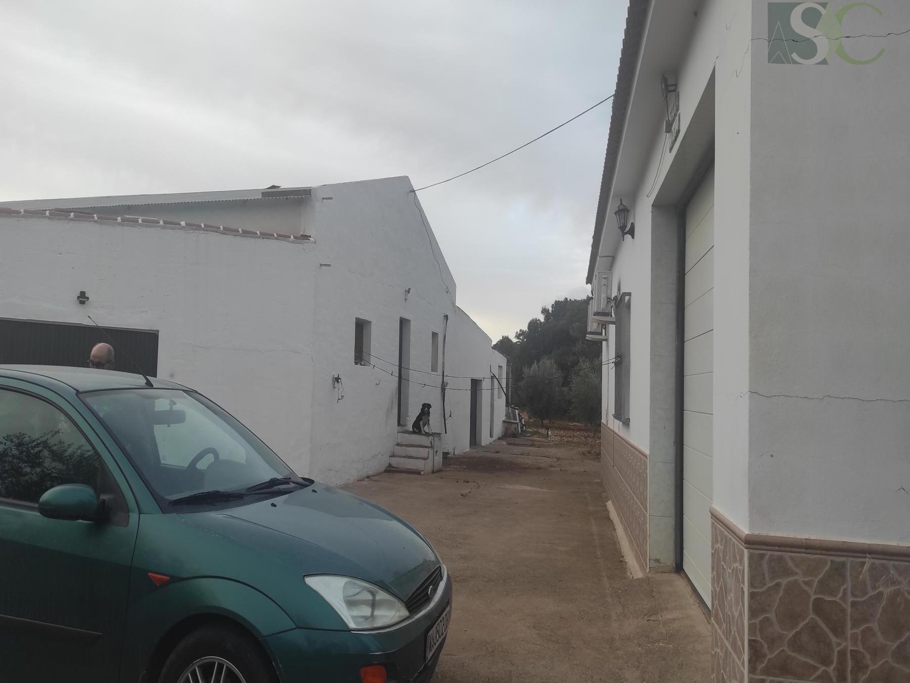 Venta de finca rústica en Teba