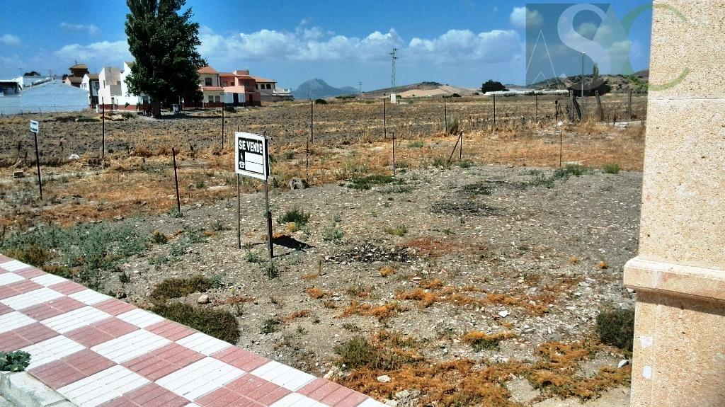 For sale of land in Almargen