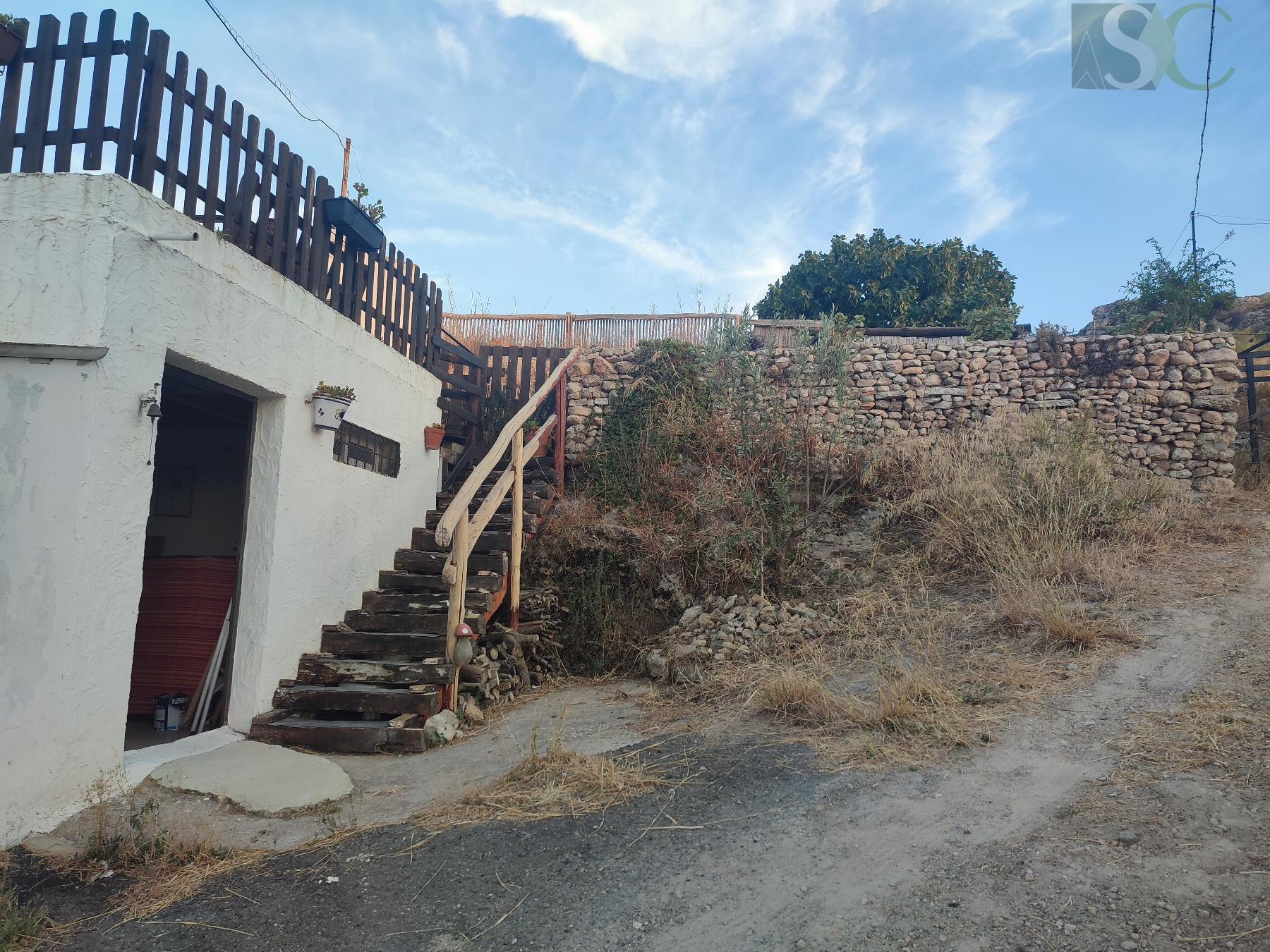 Entrada/Salida