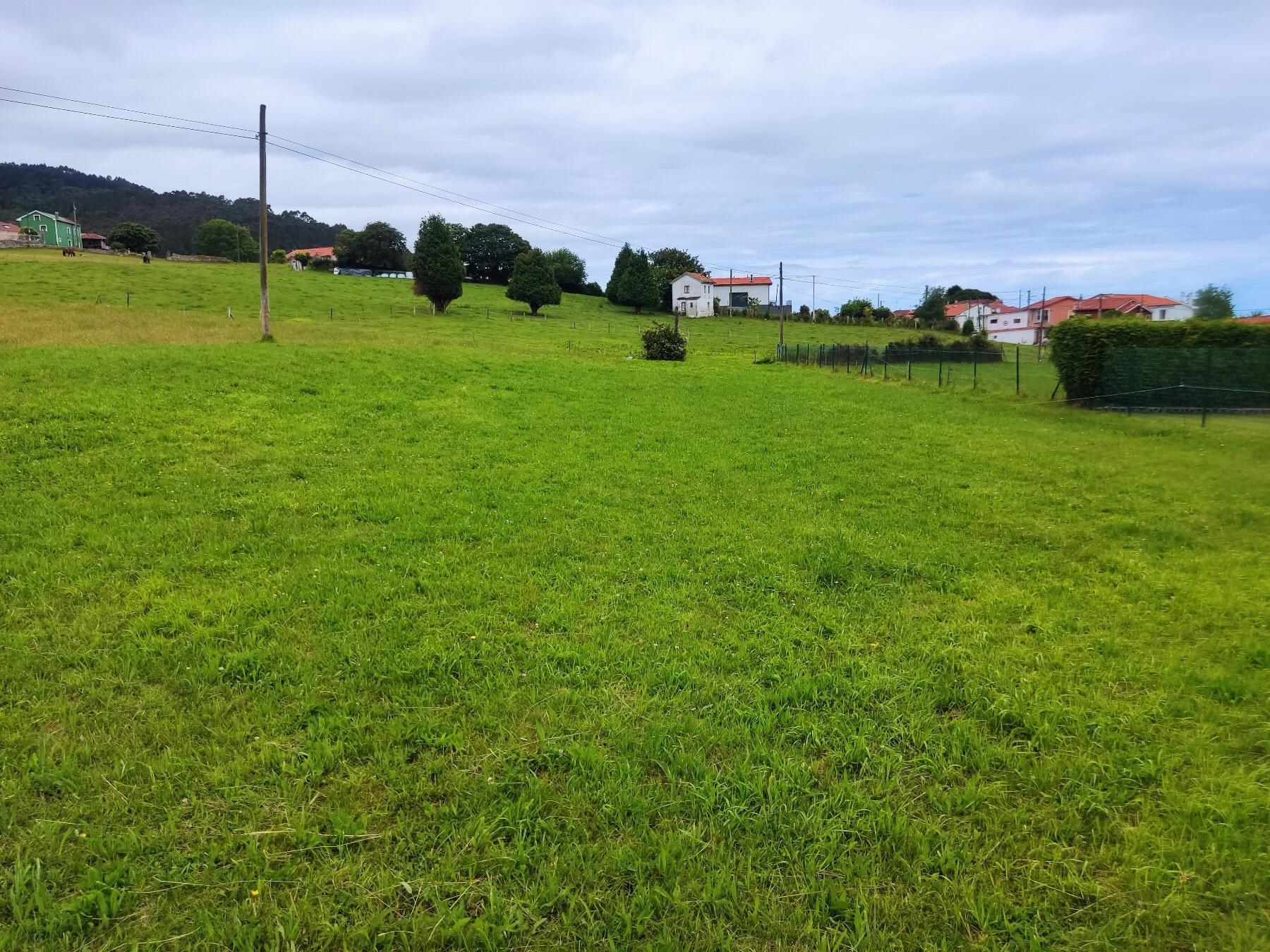 Terreno