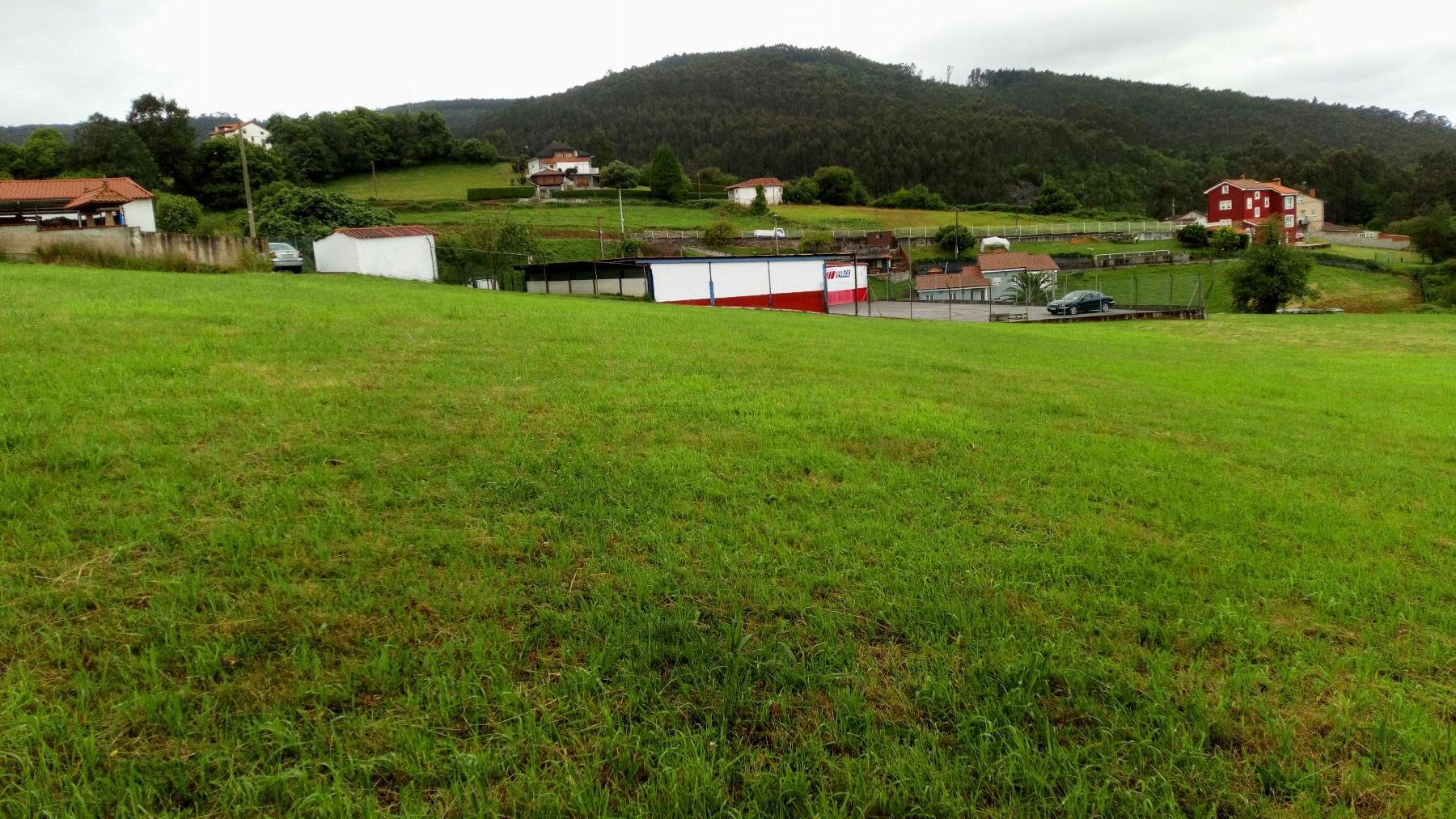 Terreno