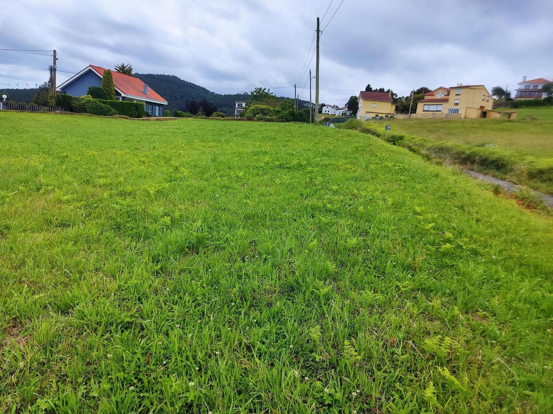 Terreno