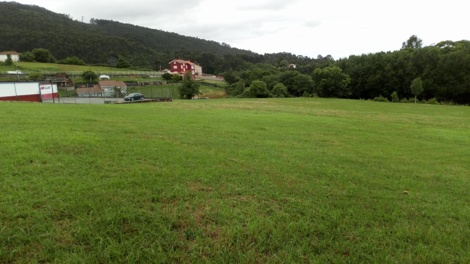 Terreno