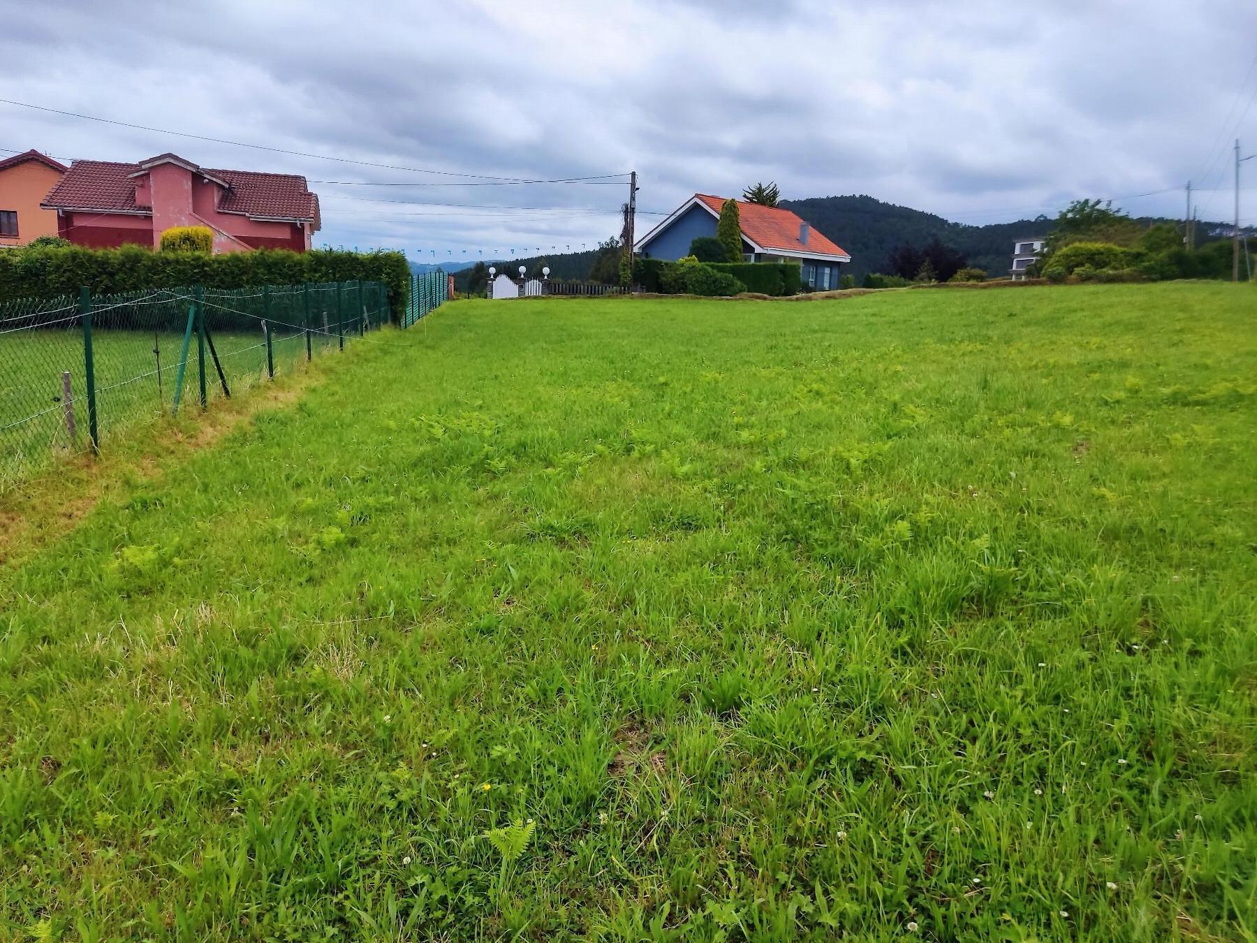 Terreno