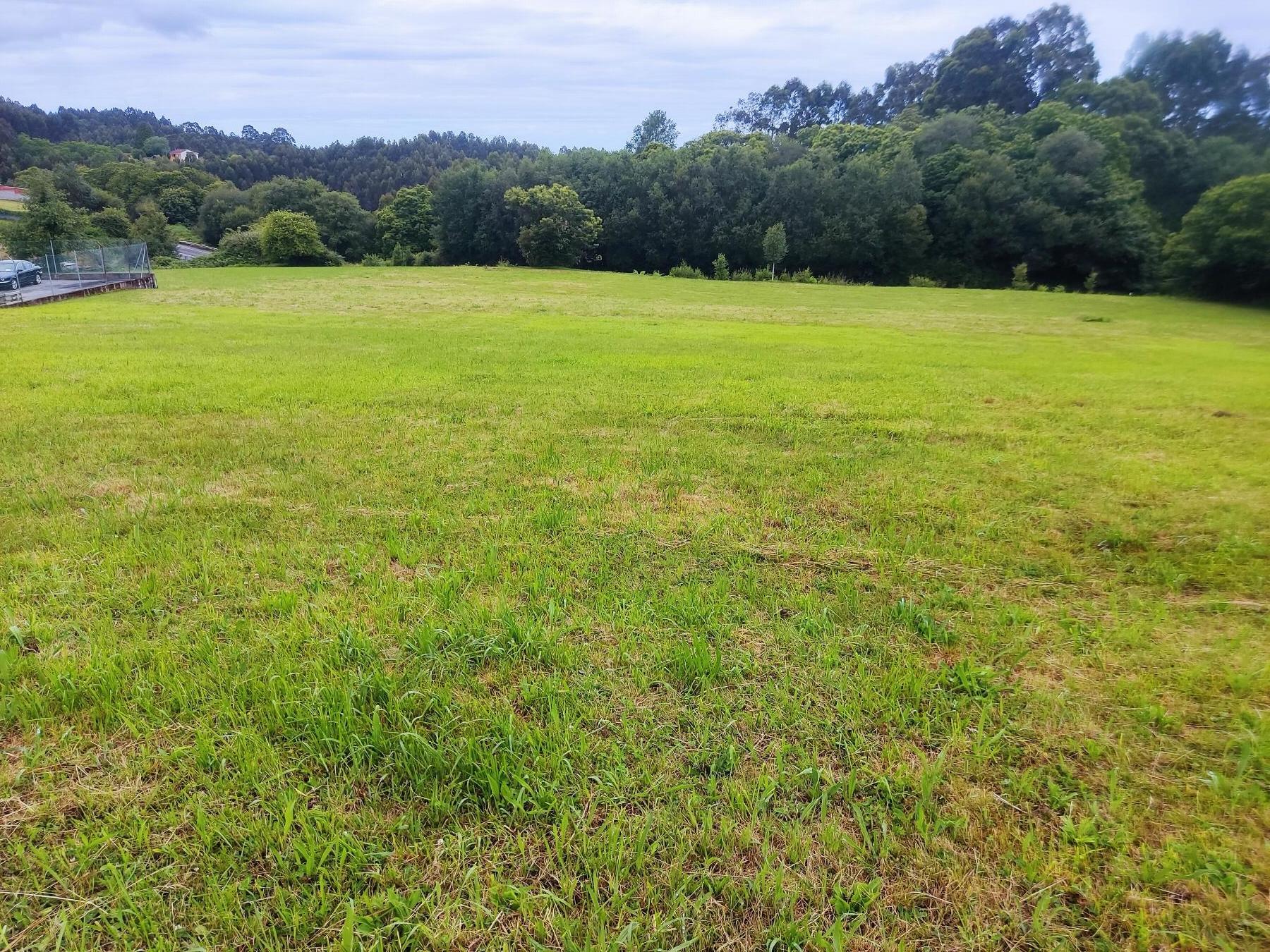Terreno