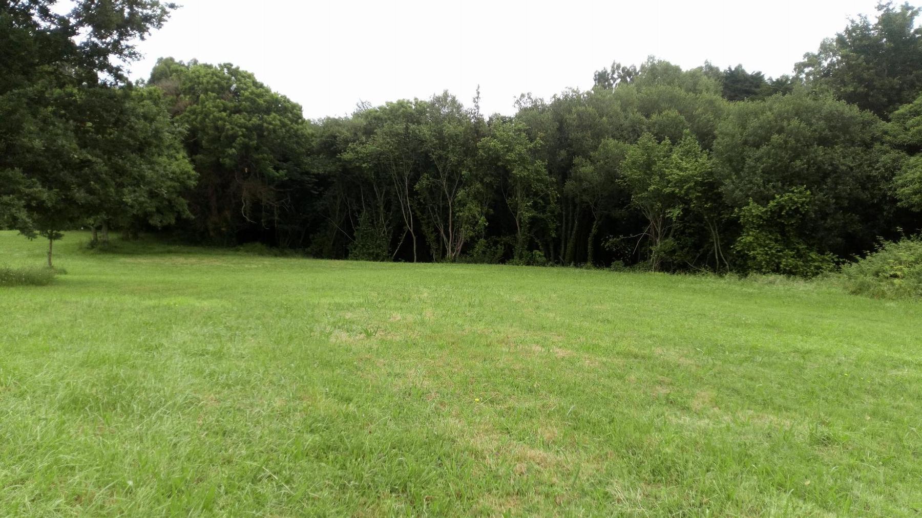 Venta de finca rústica en Pravia