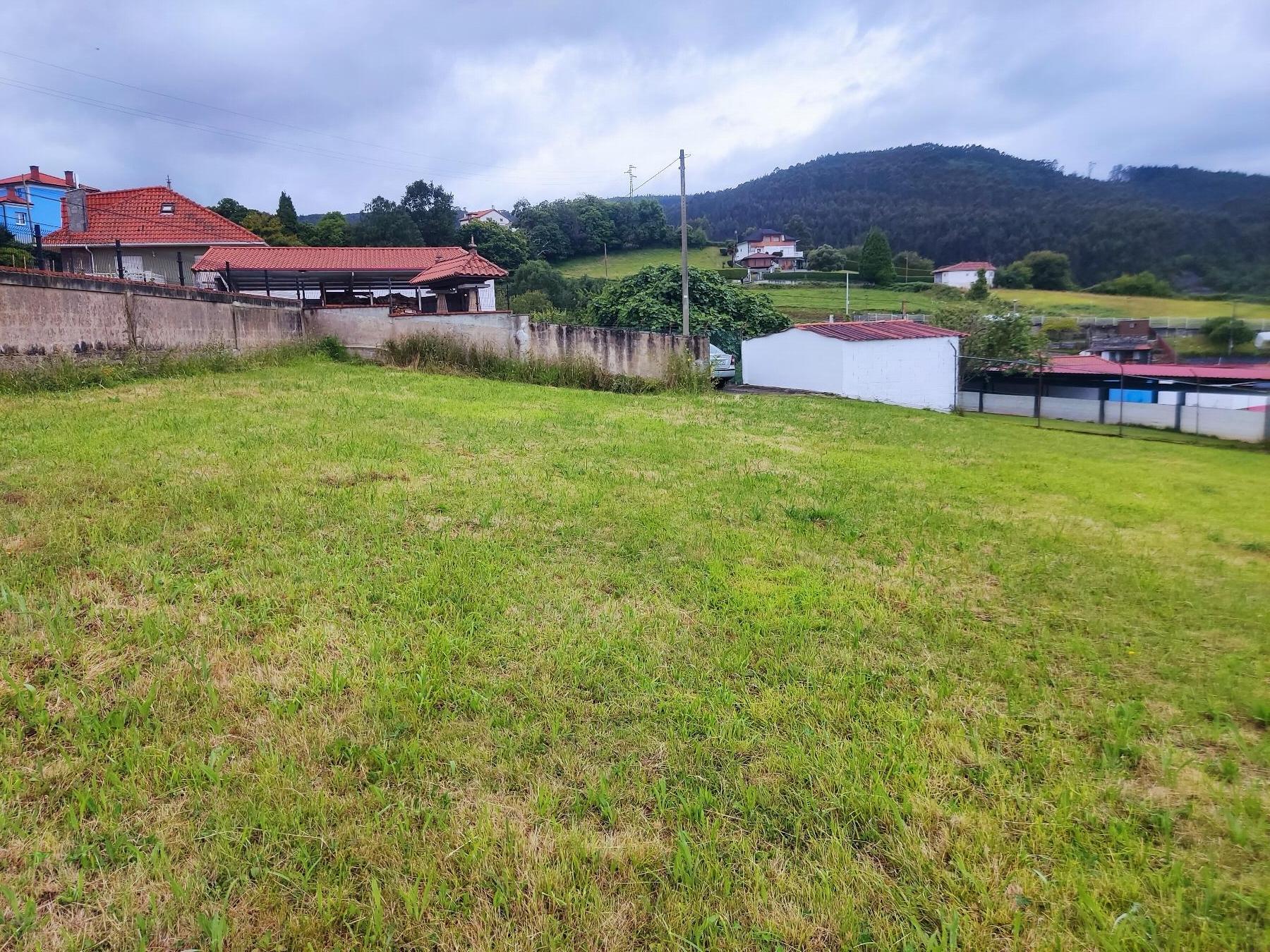 Terreno