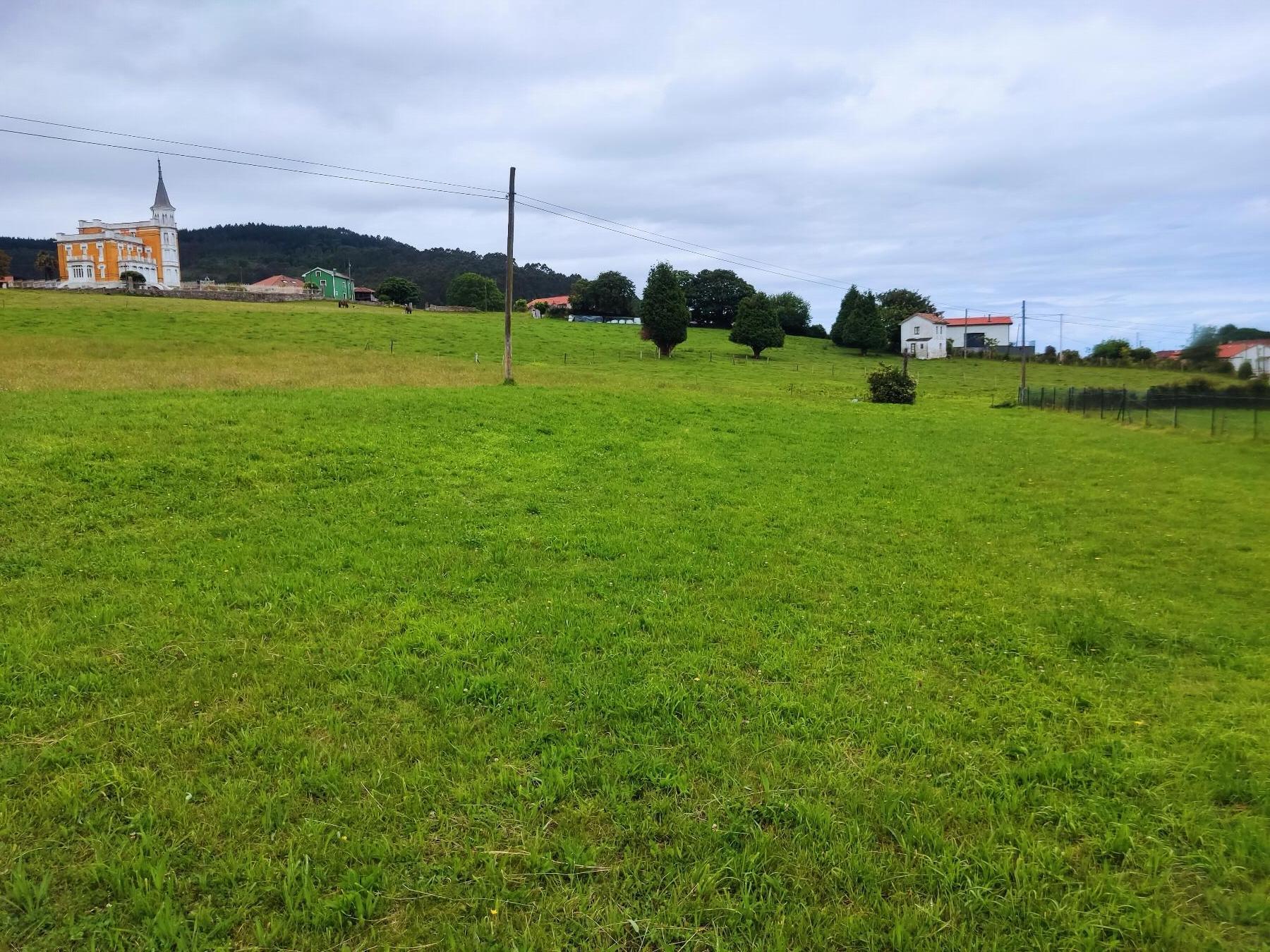 Terreno
