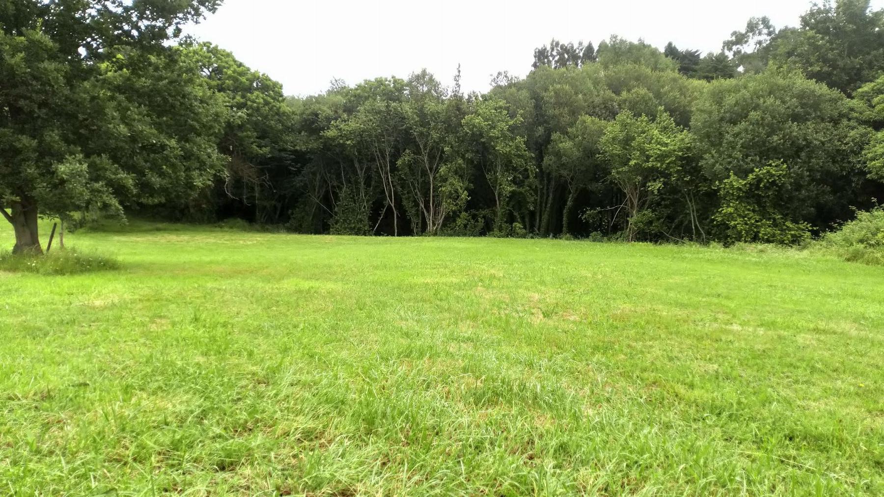 Terreno
