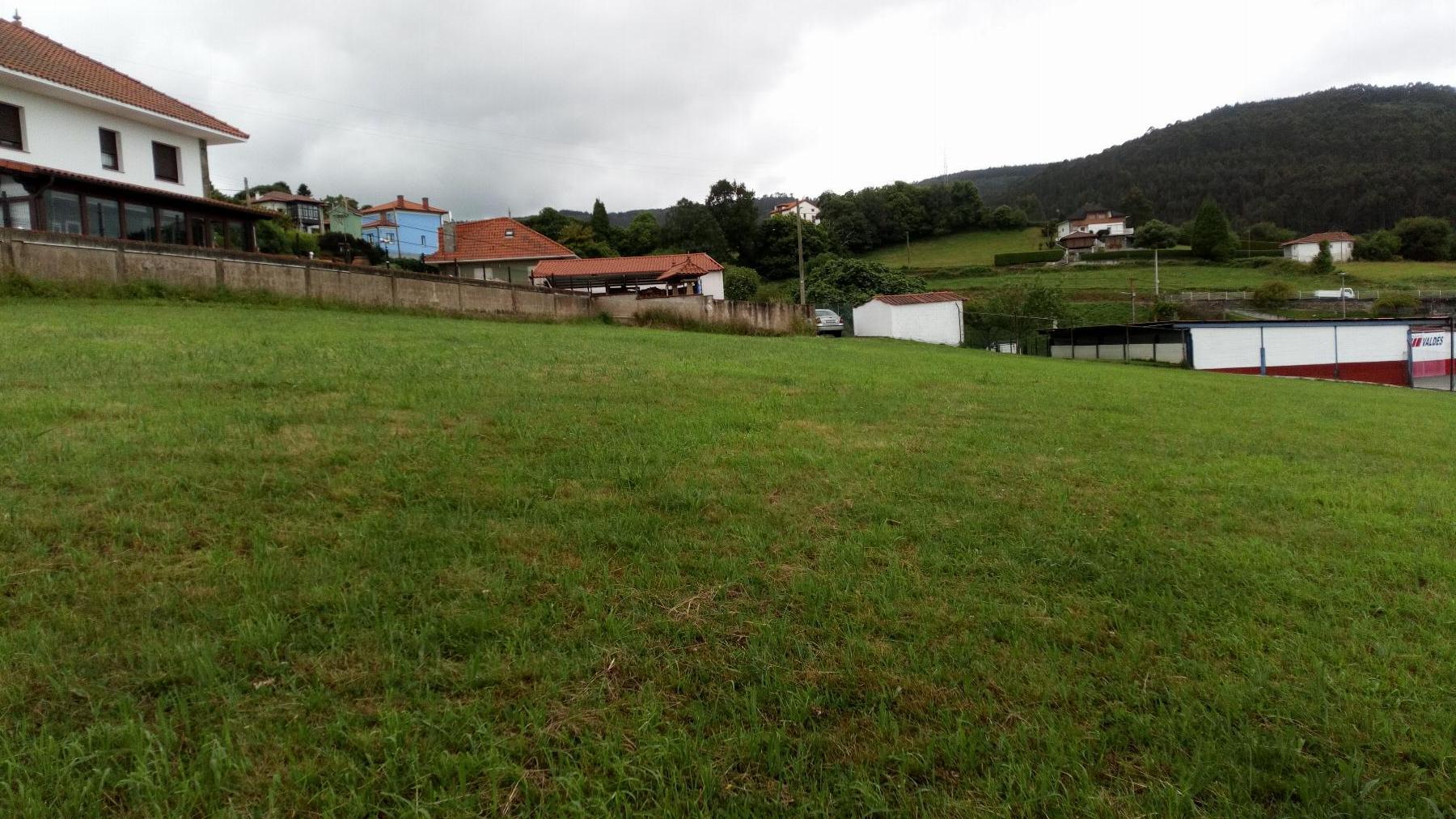 Terreno