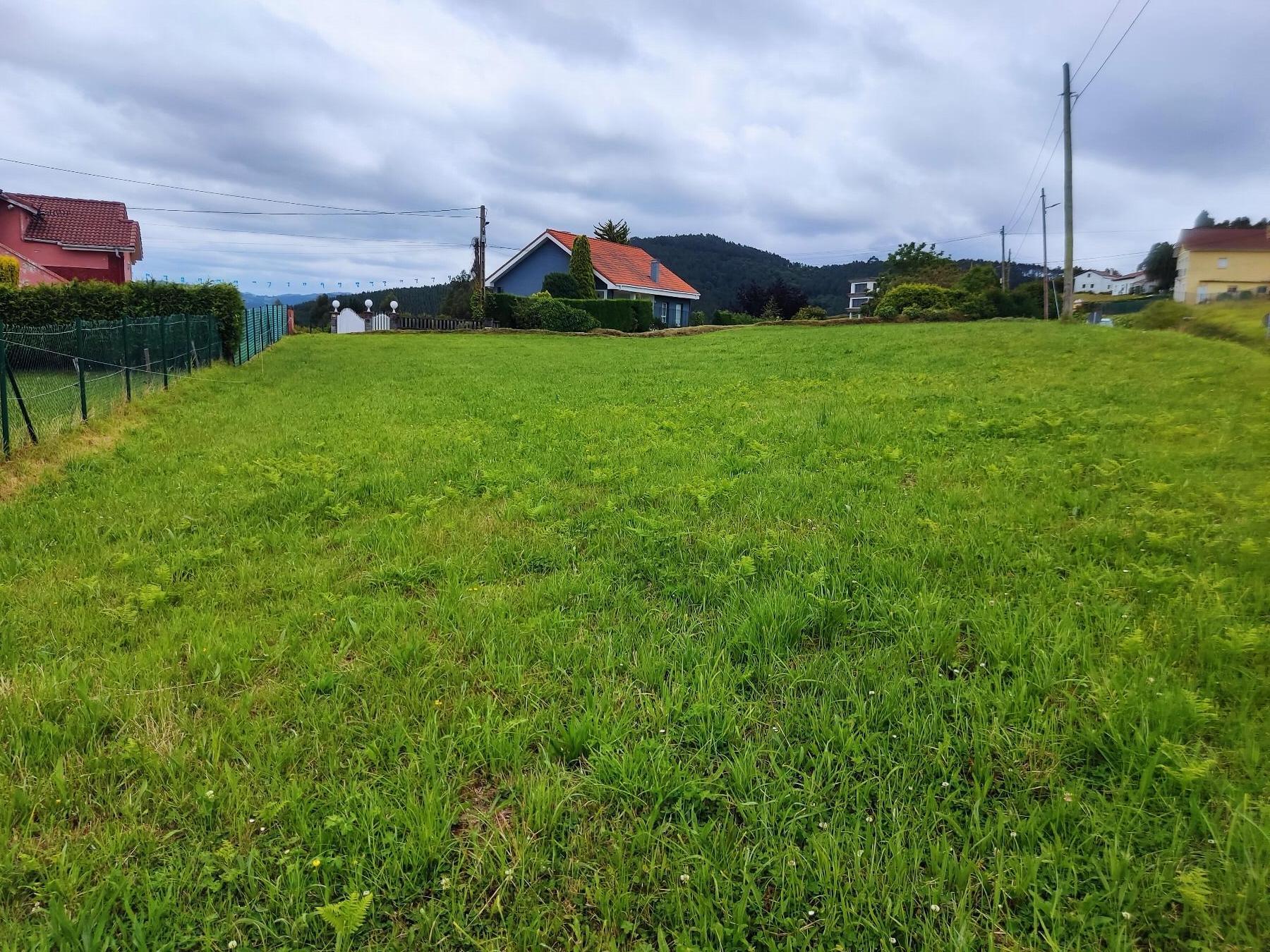 Terreno