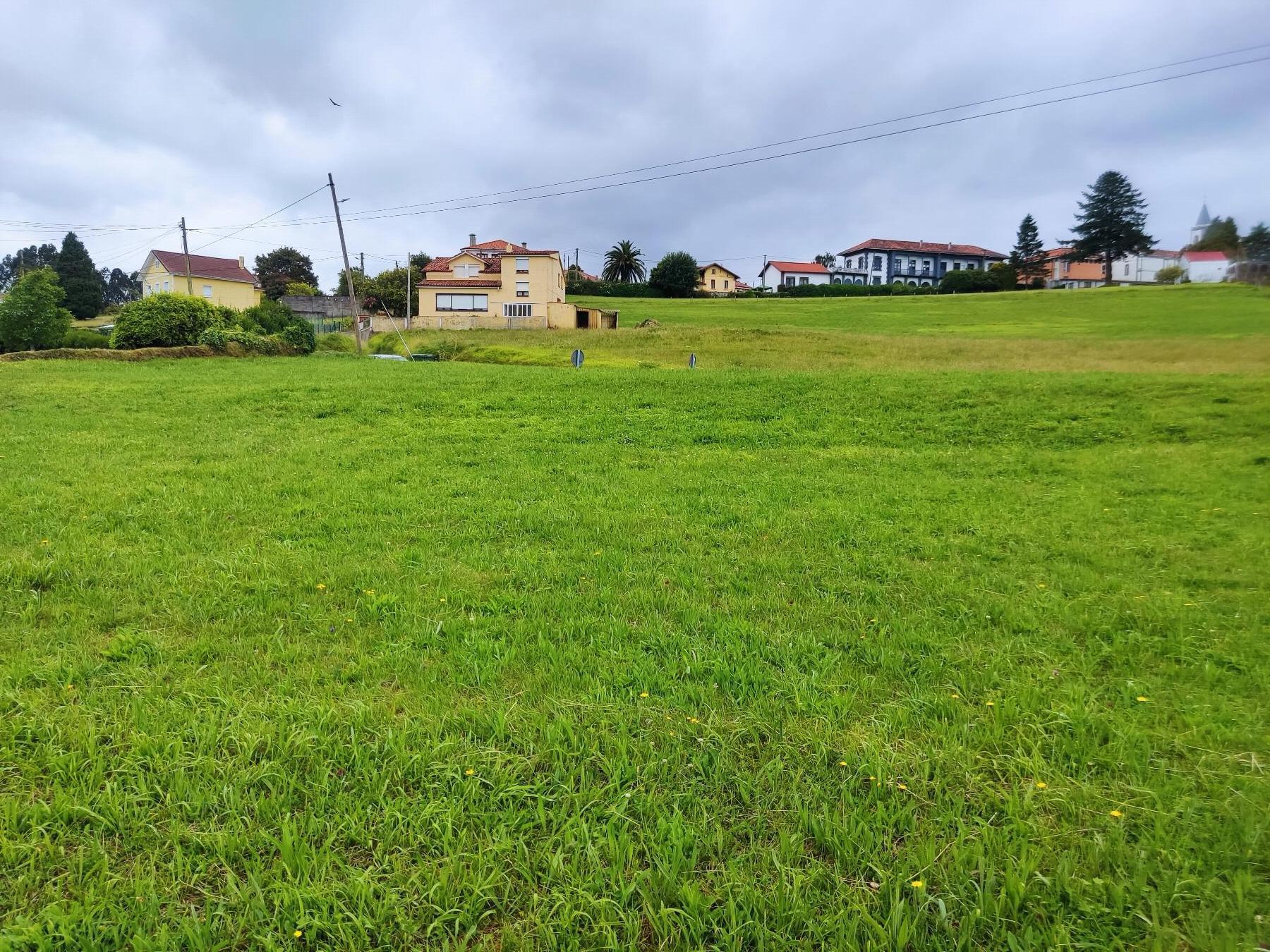 Terreno