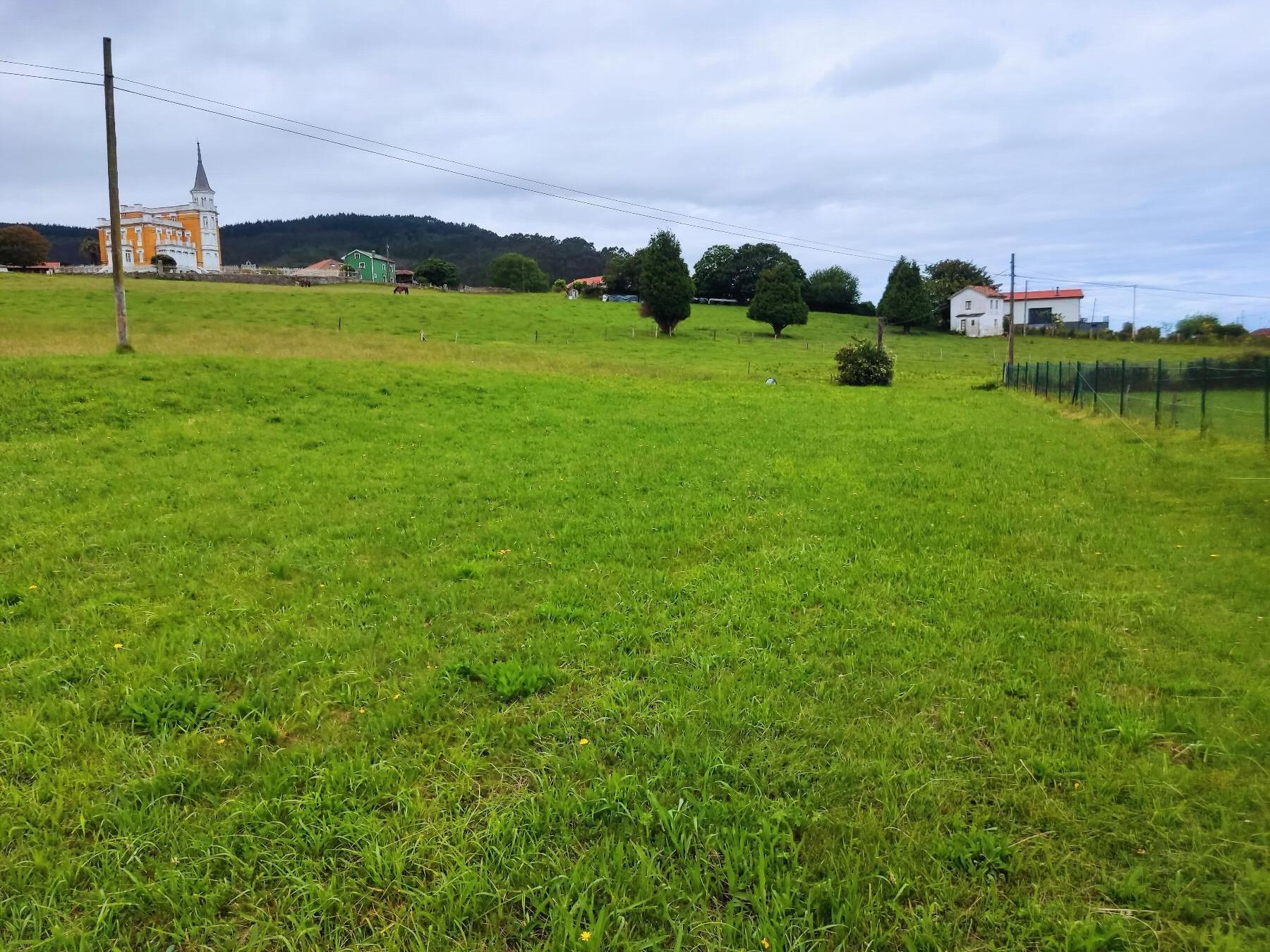 Terreno