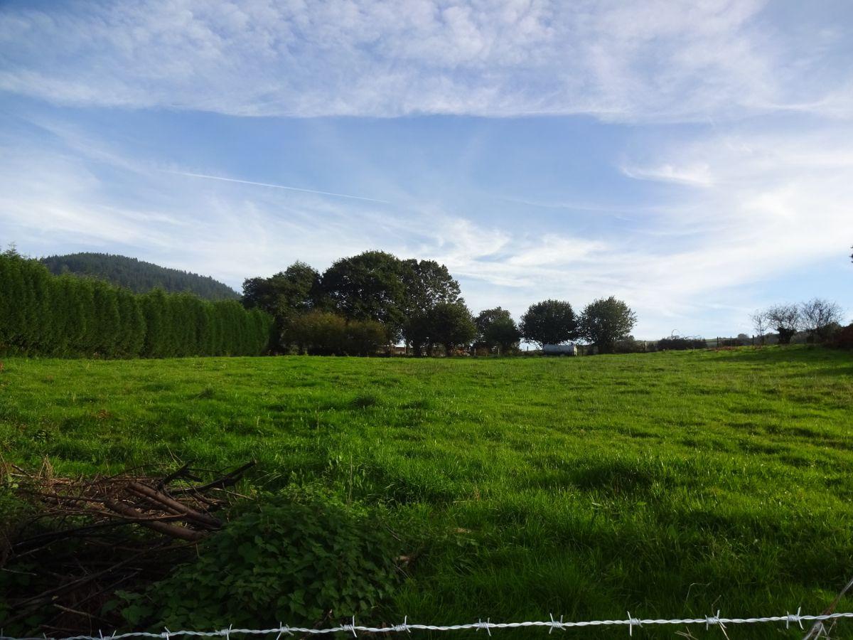 For sale of land in Siero