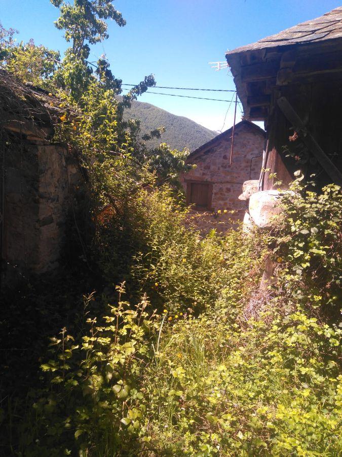 For sale of rural property in Cangas del Narcea Concejo