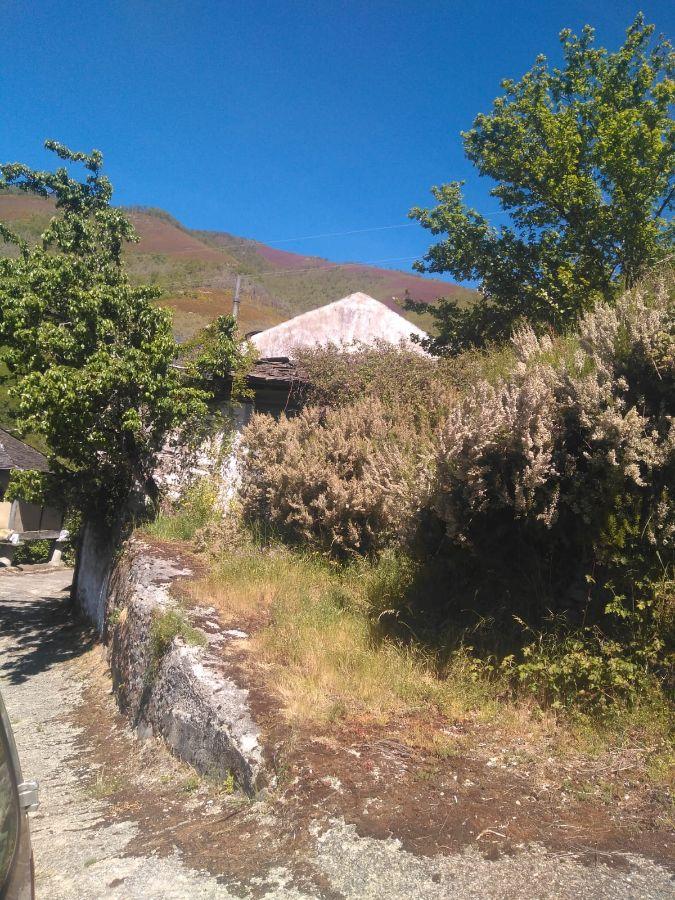 Venta de finca rústica en Cangas del Narcea Concejo