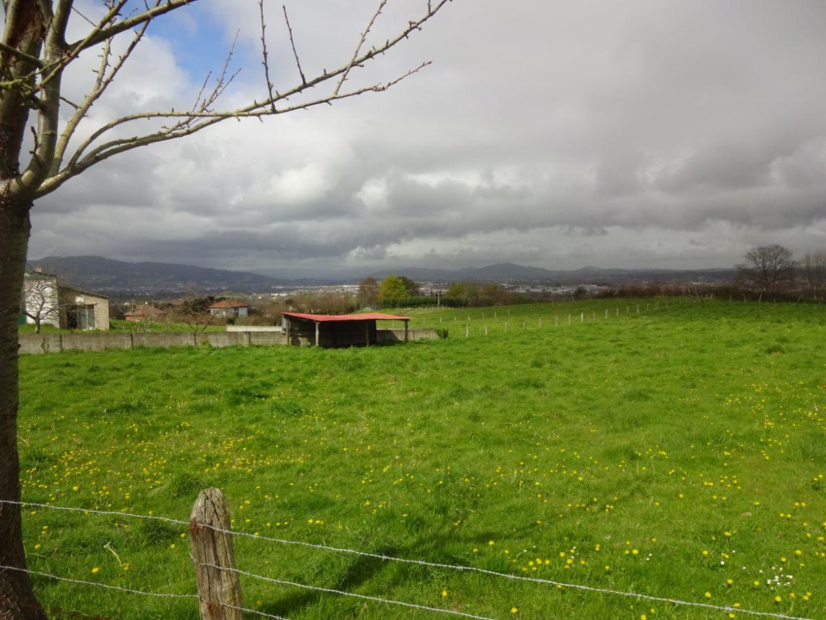 For sale of land in Siero