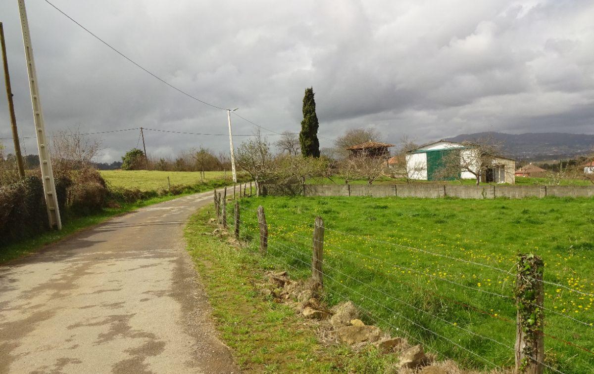 For sale of land in Siero