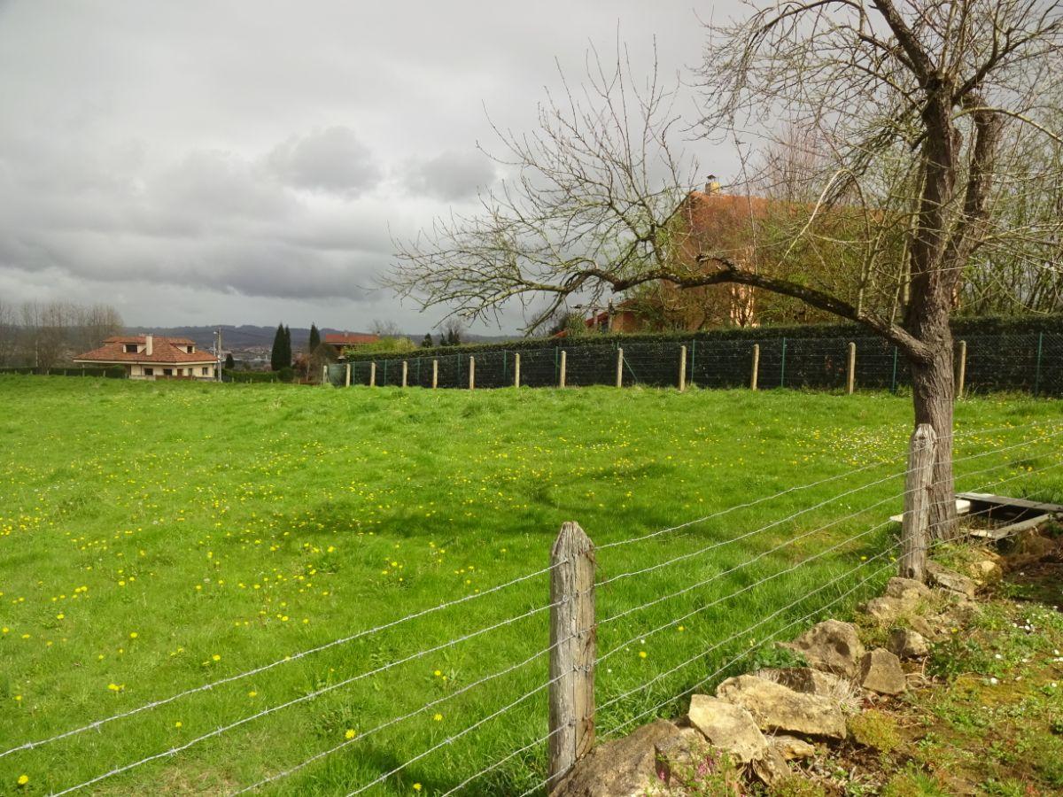 For sale of land in Siero