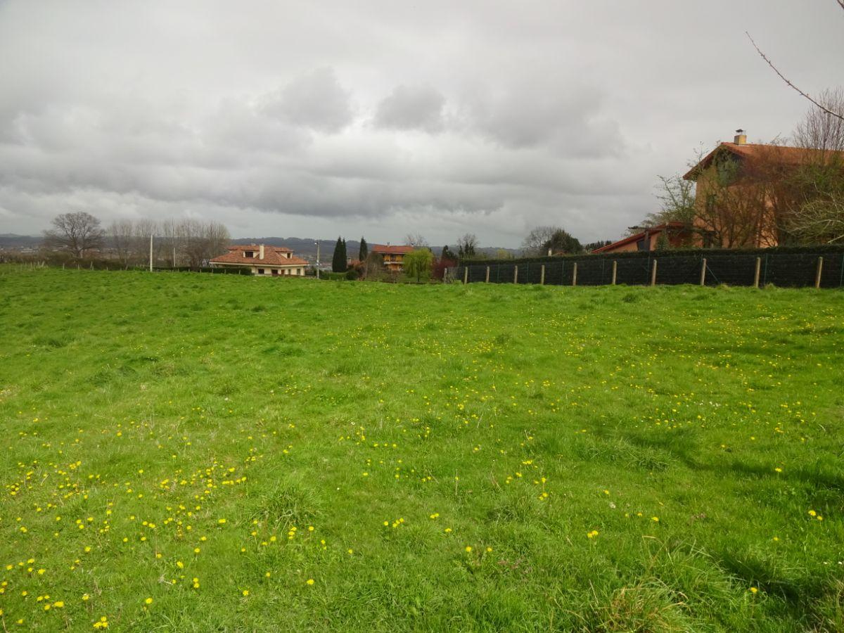 For sale of land in Siero