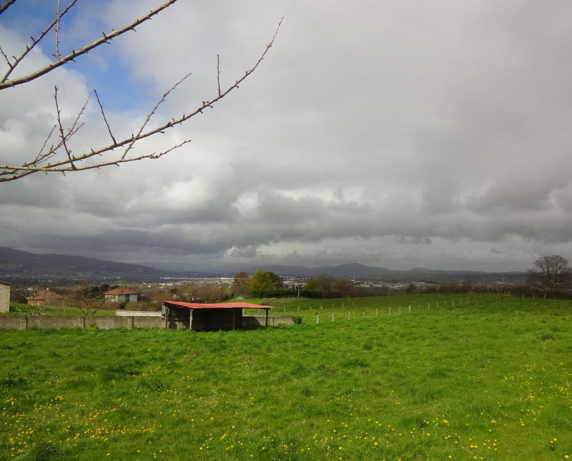 For sale of land in Siero
