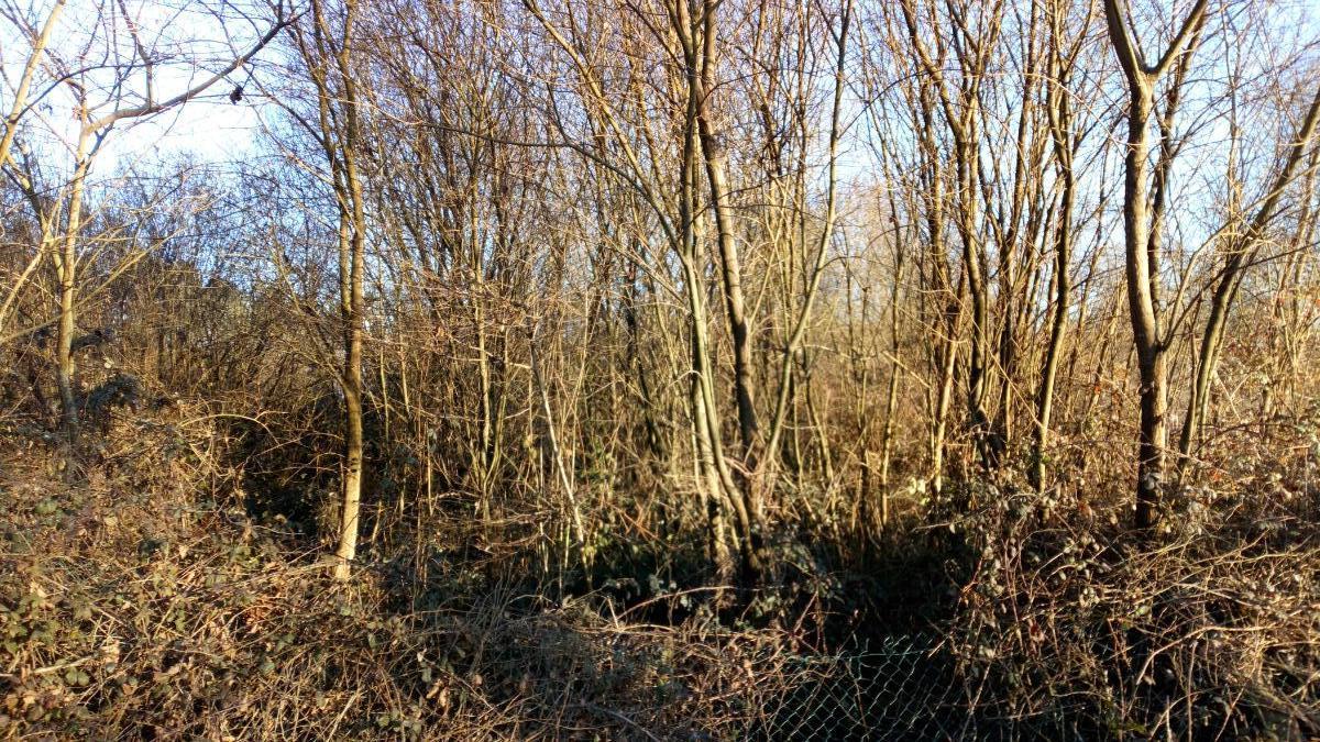 For sale of land in Llanera