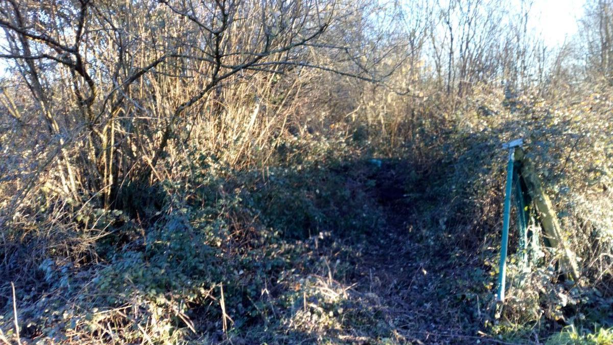 For sale of land in Llanera