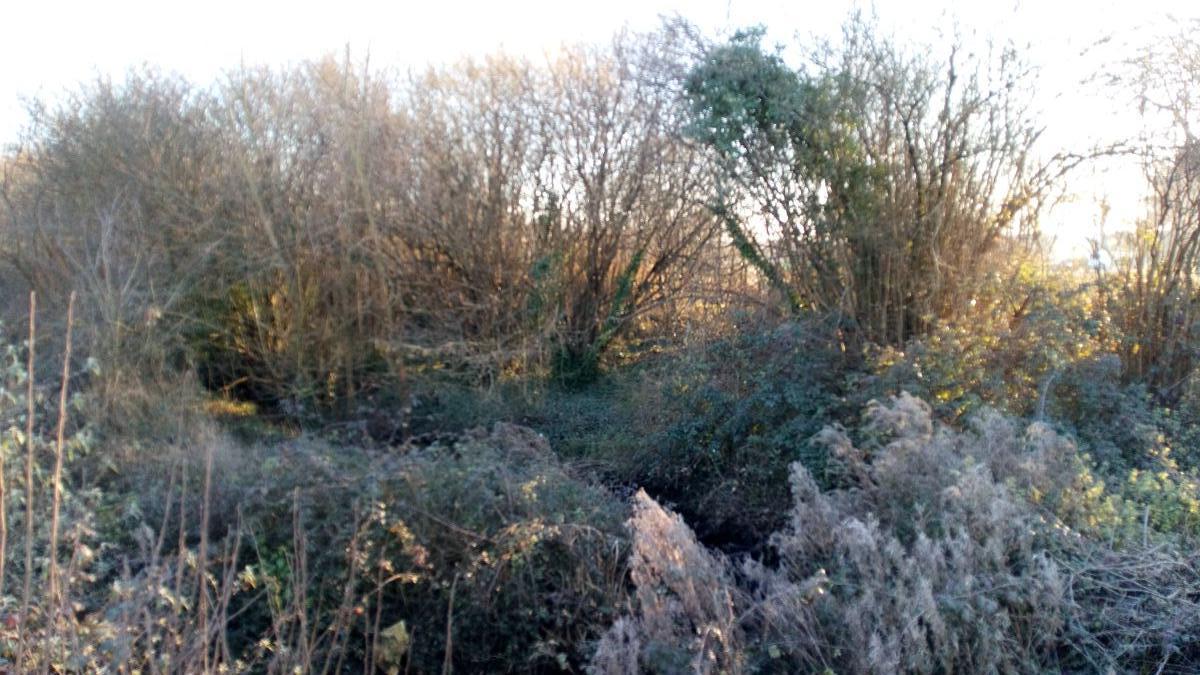 For sale of land in Llanera