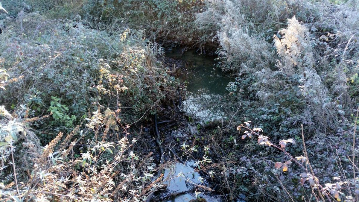 For sale of land in Llanera