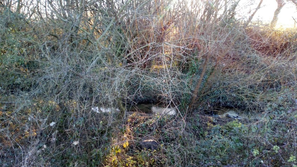 For sale of land in Llanera