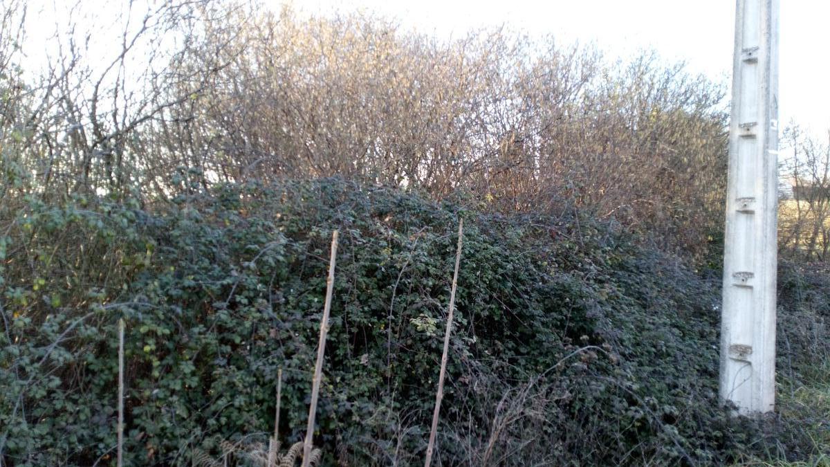 For sale of land in Llanera