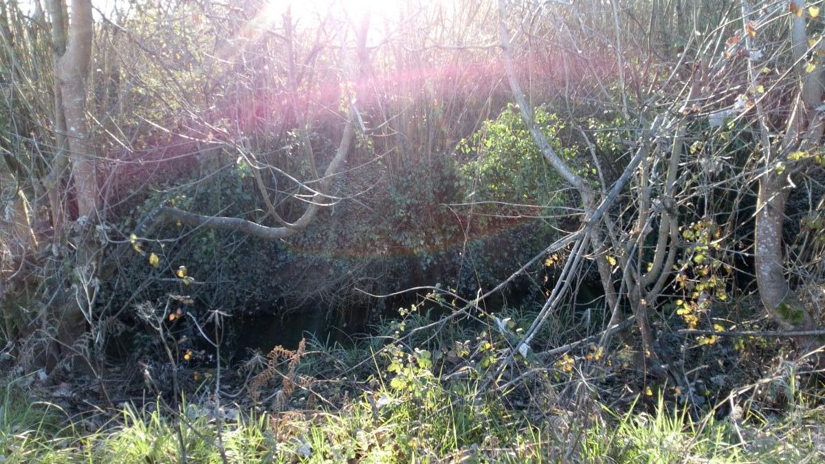 For sale of land in Llanera