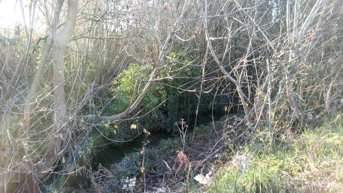 For sale of land in Llanera