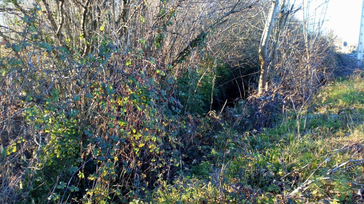 For sale of land in Llanera