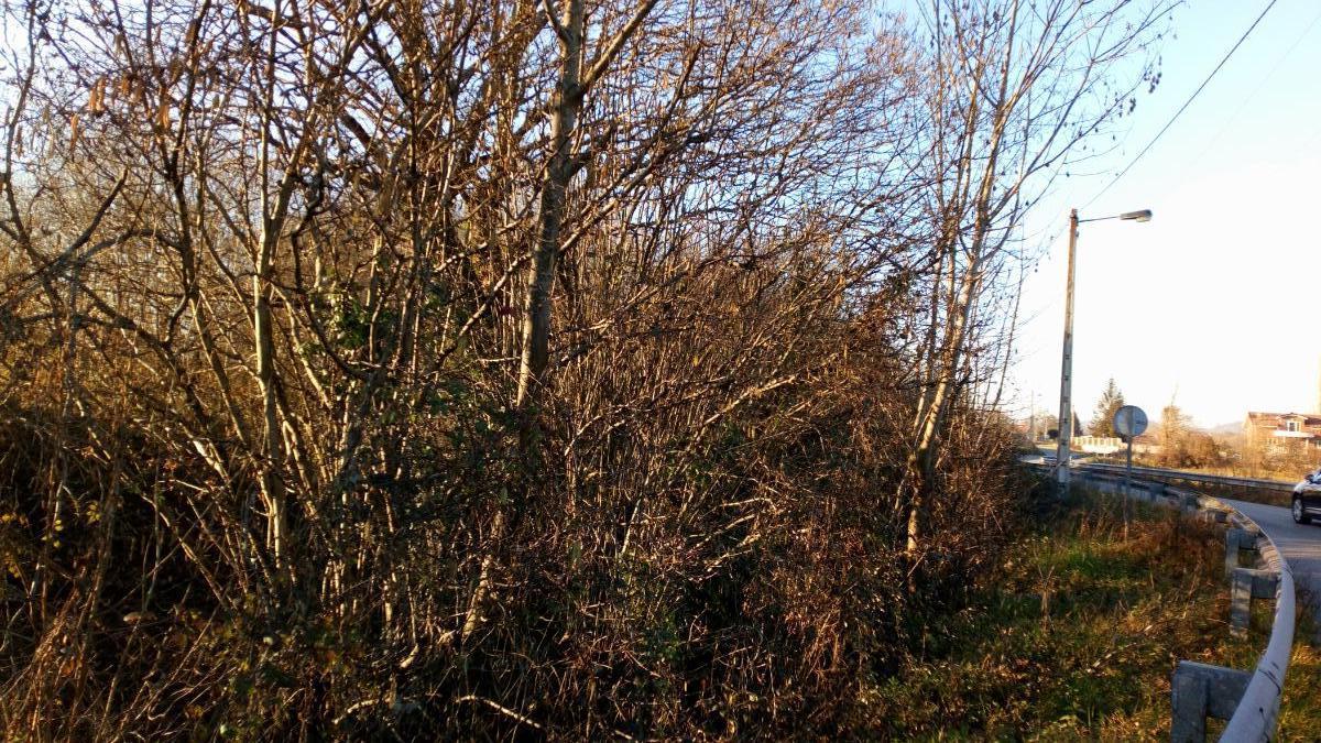 For sale of land in Llanera