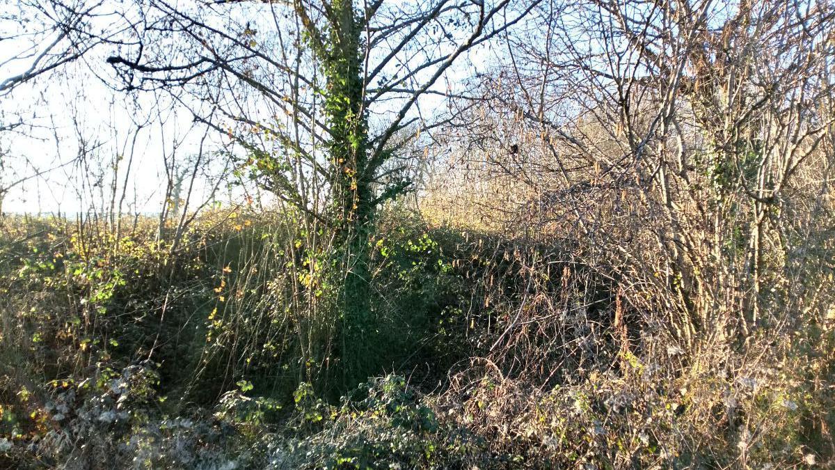 For sale of land in Llanera