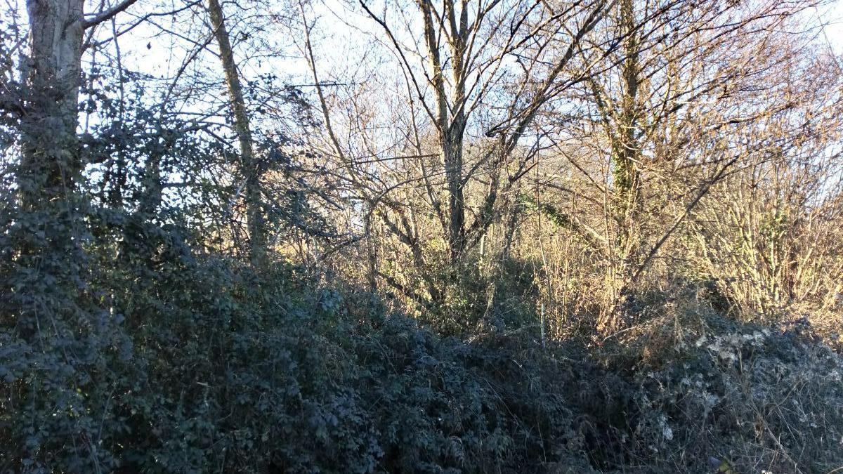 For sale of land in Llanera
