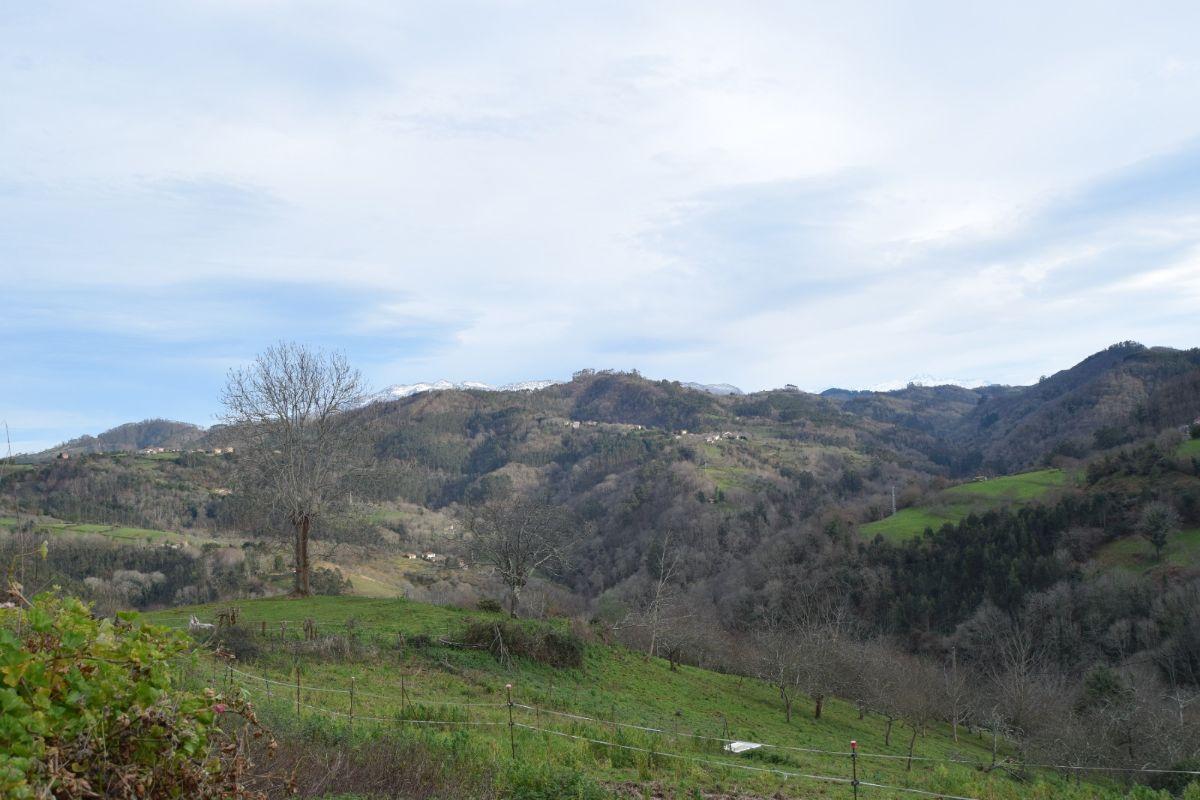 Vistas Vistas