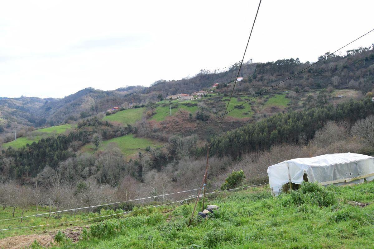 Vistas Vistas