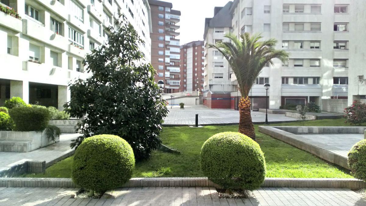 Vistas