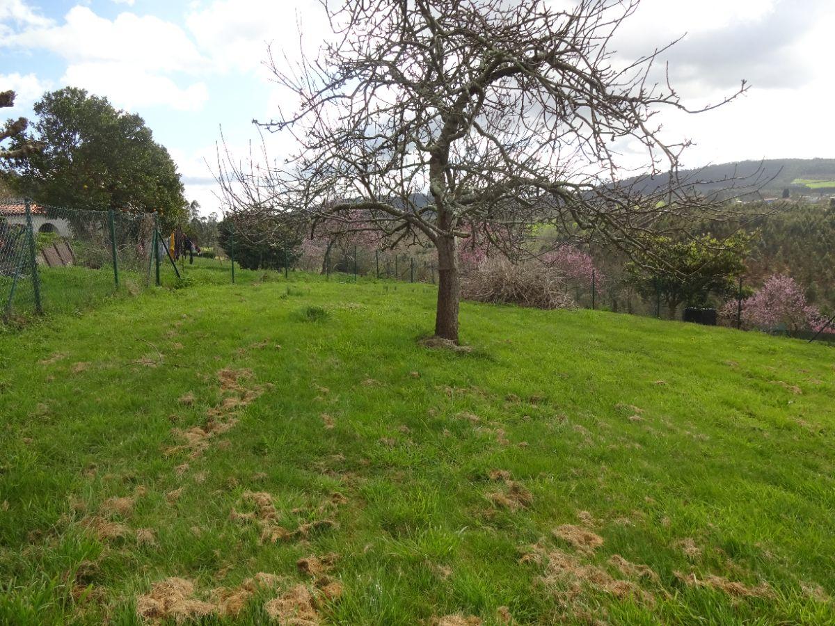 For sale of chalet in Villaviciosa