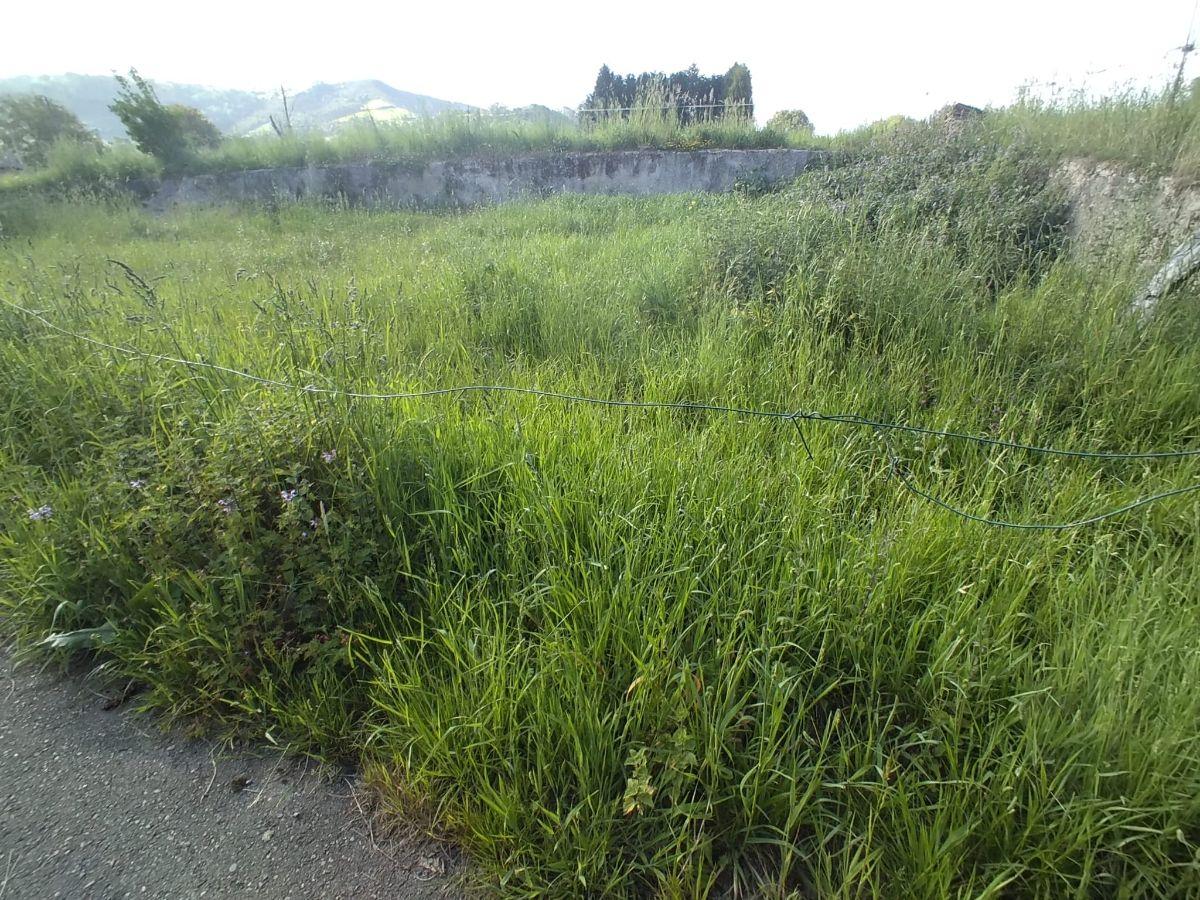For sale of land in Siero