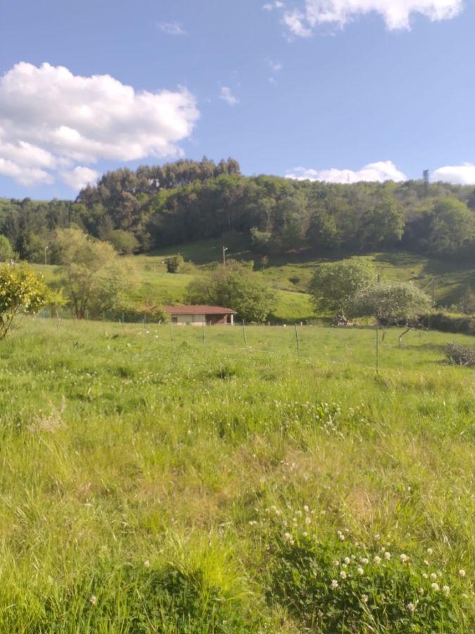 For sale of land in Siero